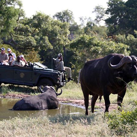 Umlani Bushcamp Villa Rezervaţia naturală Timbavati Exterior foto
