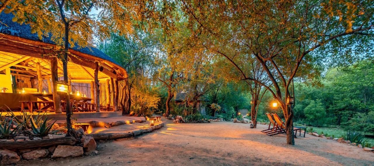 Umlani Bushcamp Villa Rezervaţia naturală Timbavati Exterior foto
