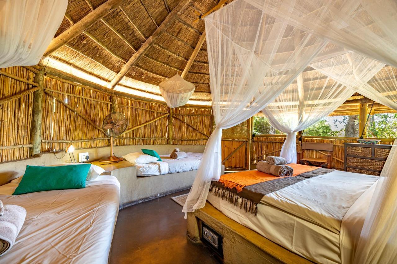 Umlani Bushcamp Villa Rezervaţia naturală Timbavati Exterior foto