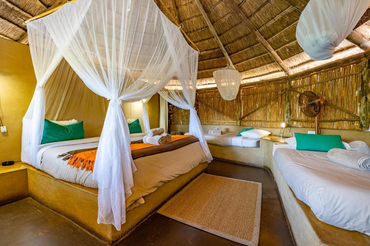 Umlani Bushcamp Villa Rezervaţia naturală Timbavati Exterior foto