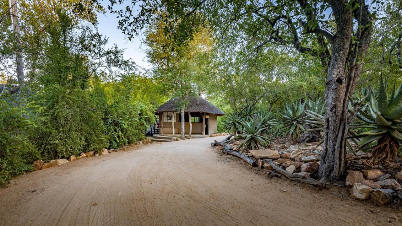 Umlani Bushcamp Villa Rezervaţia naturală Timbavati Exterior foto