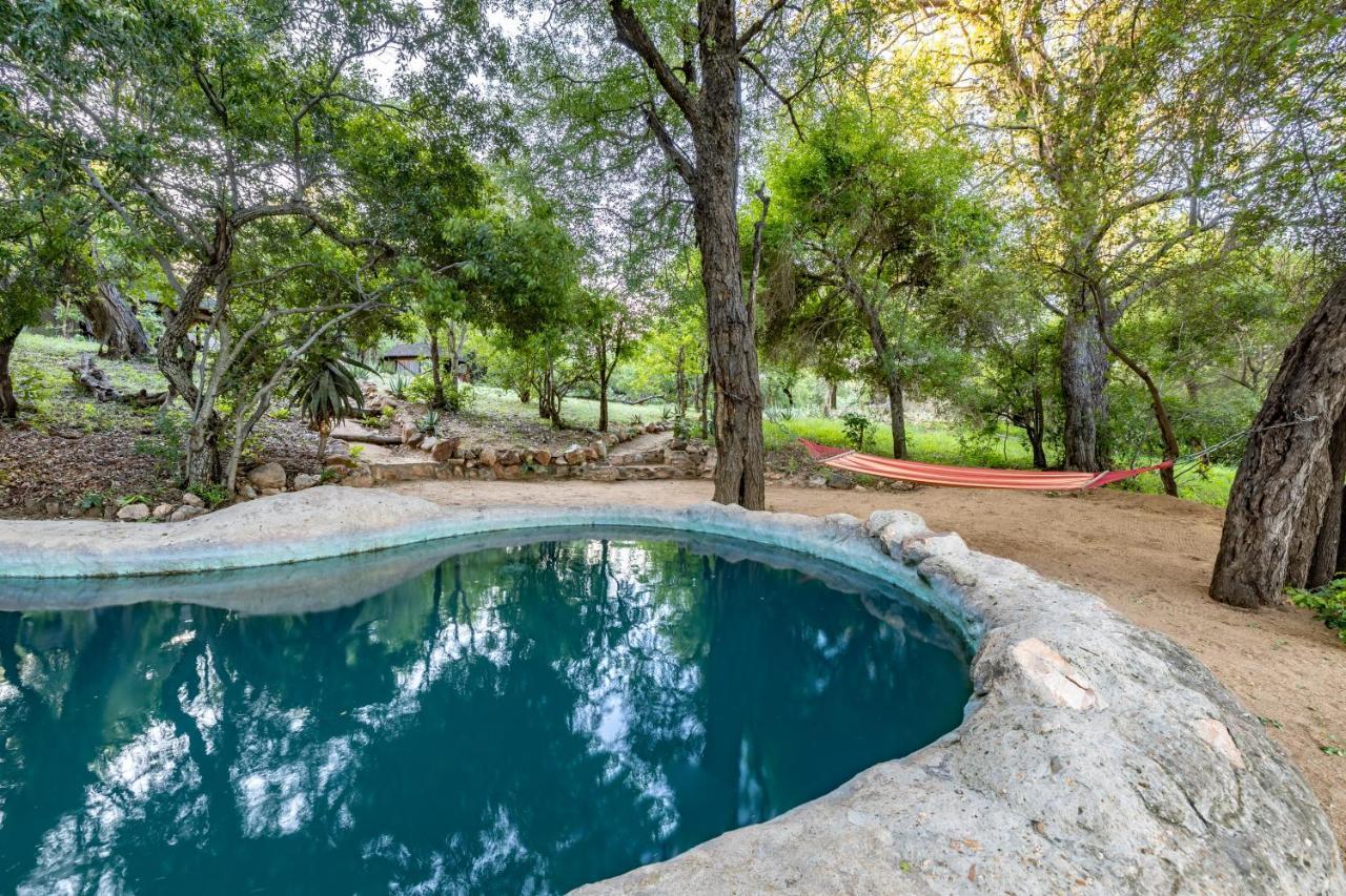 Umlani Bushcamp Villa Rezervaţia naturală Timbavati Exterior foto