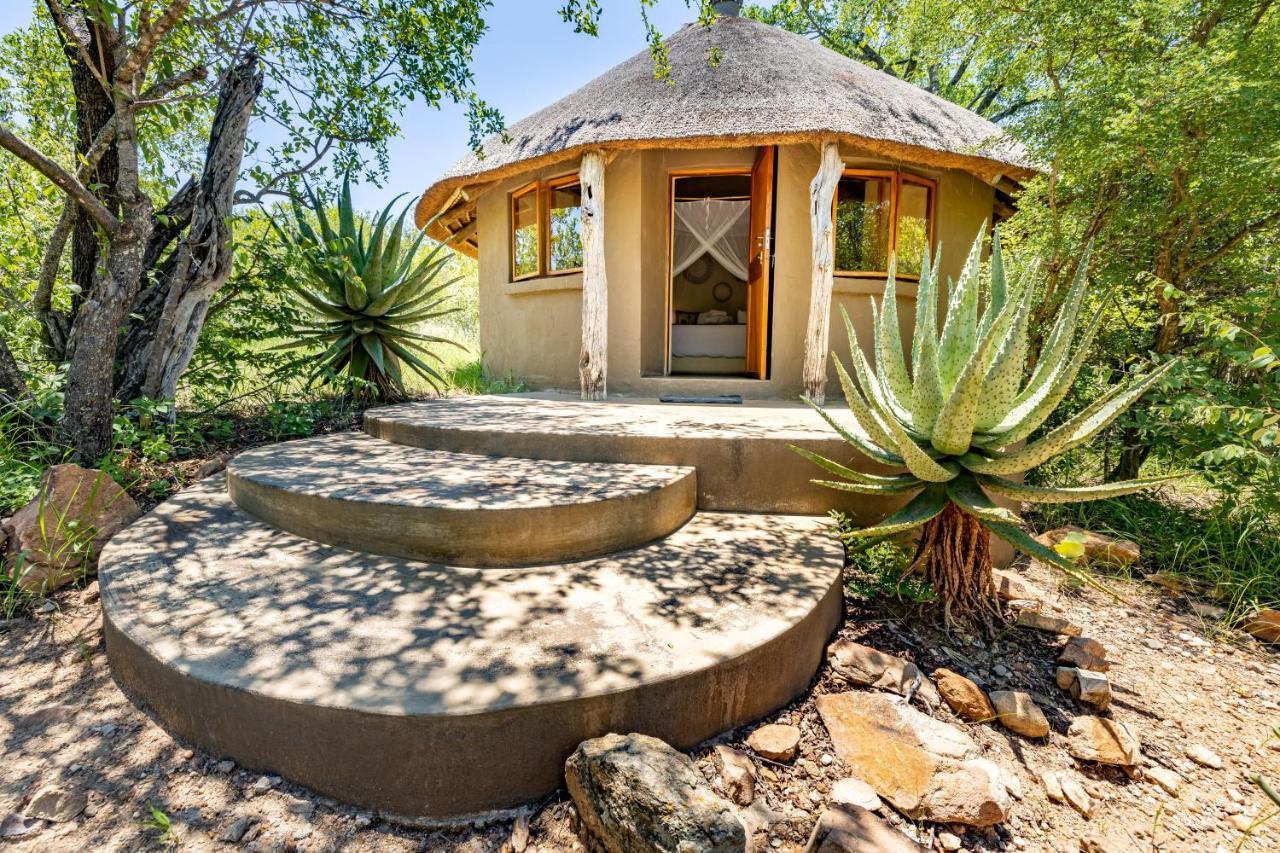 Umlani Bushcamp Villa Rezervaţia naturală Timbavati Exterior foto