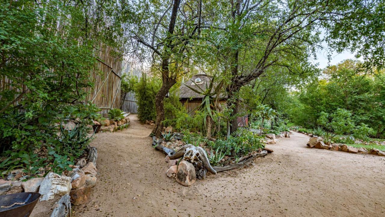 Umlani Bushcamp Villa Rezervaţia naturală Timbavati Exterior foto