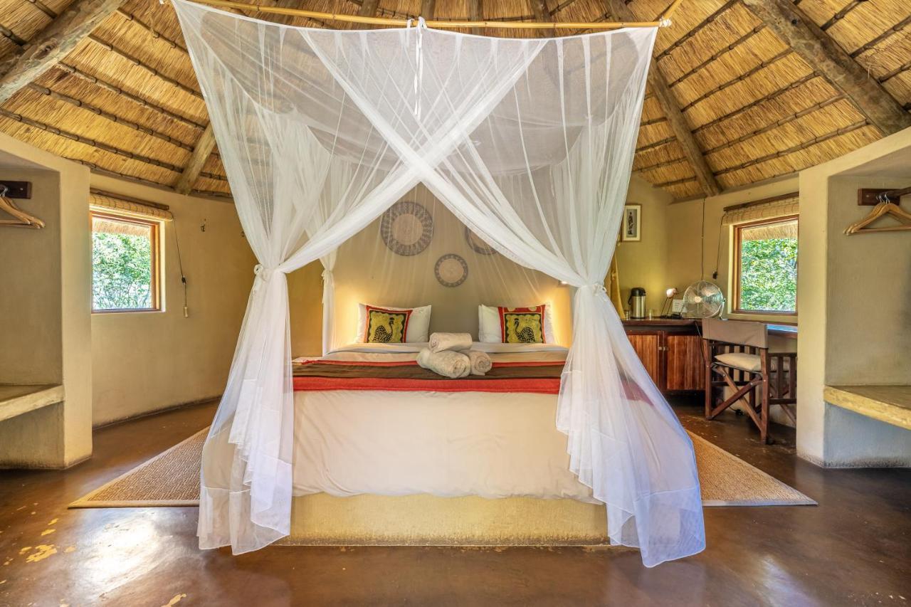 Umlani Bushcamp Villa Rezervaţia naturală Timbavati Exterior foto