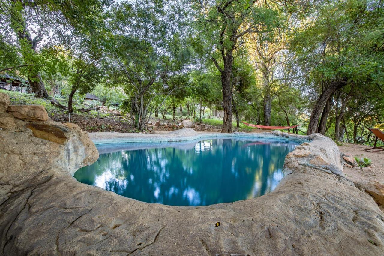 Umlani Bushcamp Villa Rezervaţia naturală Timbavati Exterior foto