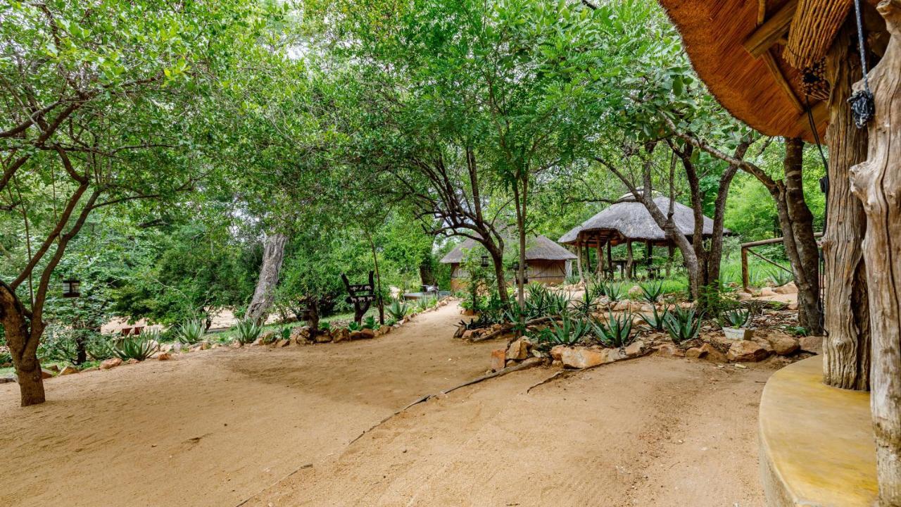 Umlani Bushcamp Villa Rezervaţia naturală Timbavati Exterior foto