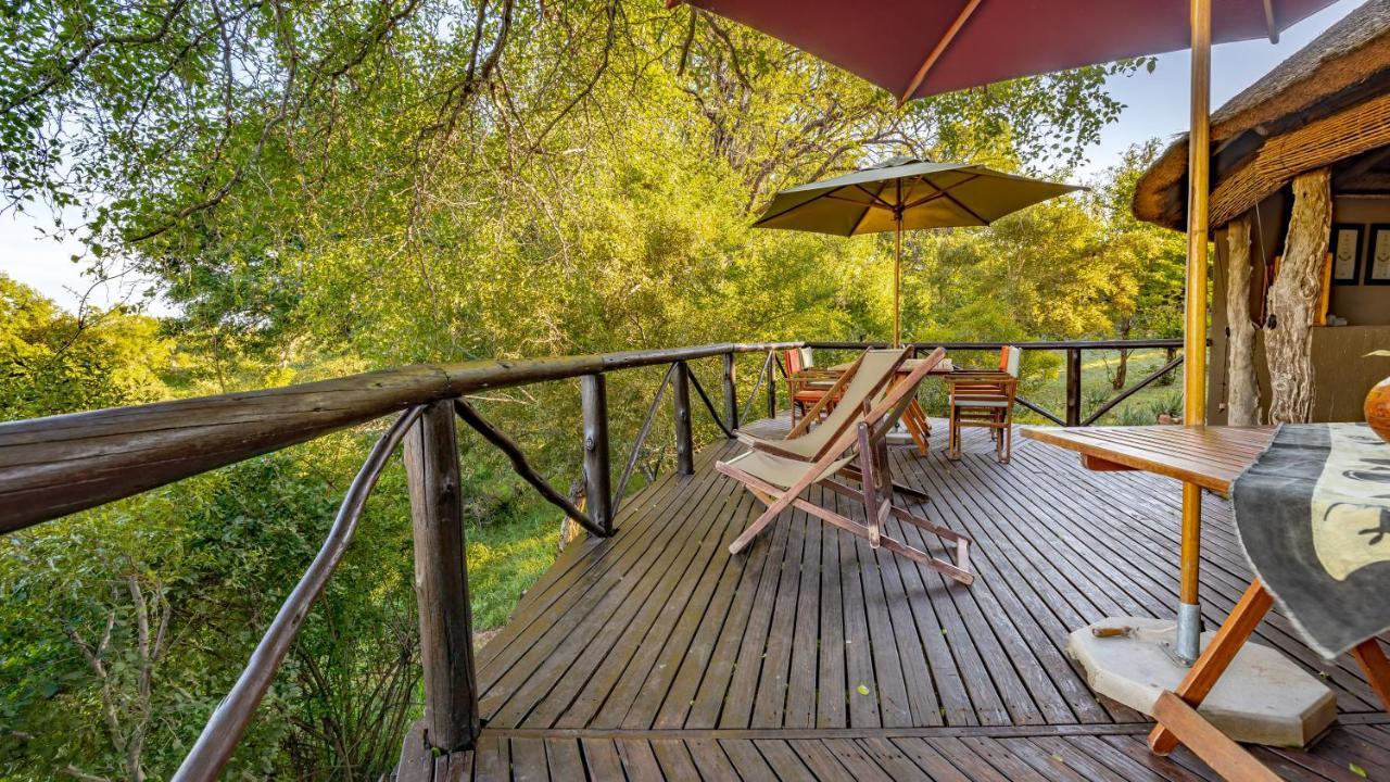 Umlani Bushcamp Villa Rezervaţia naturală Timbavati Exterior foto