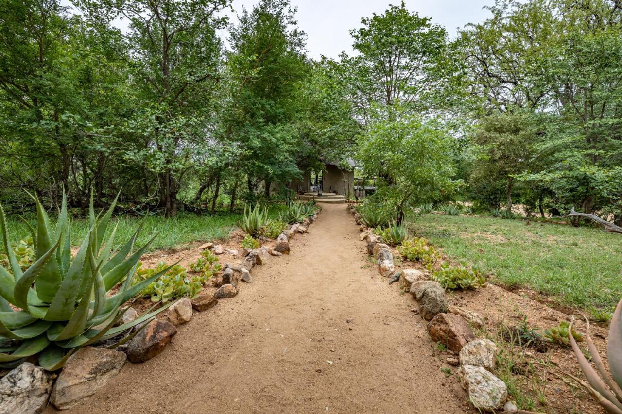 Umlani Bushcamp Villa Rezervaţia naturală Timbavati Exterior foto