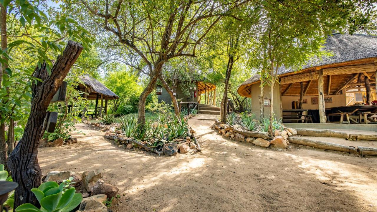 Umlani Bushcamp Villa Rezervaţia naturală Timbavati Exterior foto