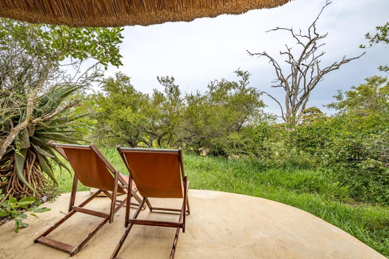Umlani Bushcamp Villa Rezervaţia naturală Timbavati Exterior foto
