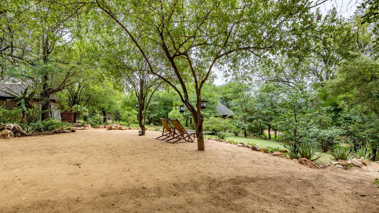 Umlani Bushcamp Villa Rezervaţia naturală Timbavati Exterior foto