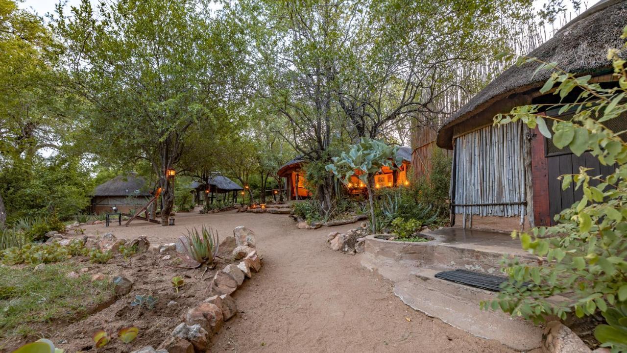 Umlani Bushcamp Villa Rezervaţia naturală Timbavati Exterior foto