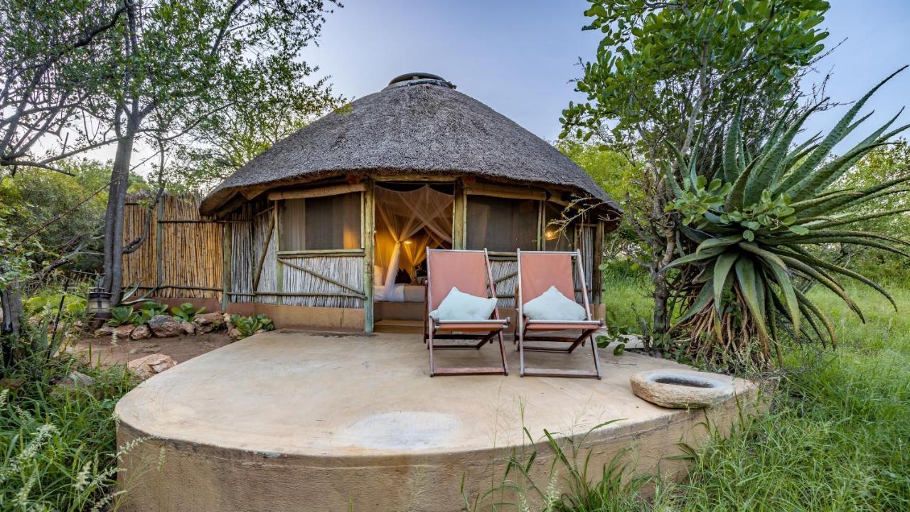 Umlani Bushcamp Villa Rezervaţia naturală Timbavati Exterior foto