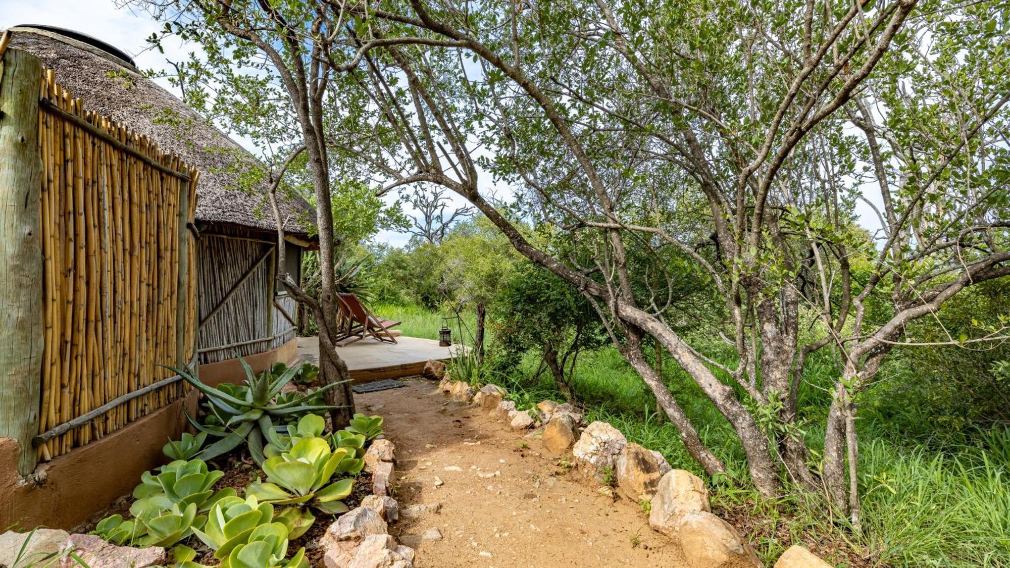 Umlani Bushcamp Villa Rezervaţia naturală Timbavati Exterior foto