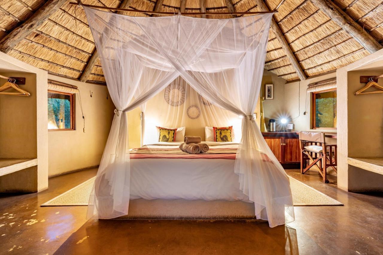 Umlani Bushcamp Villa Rezervaţia naturală Timbavati Exterior foto