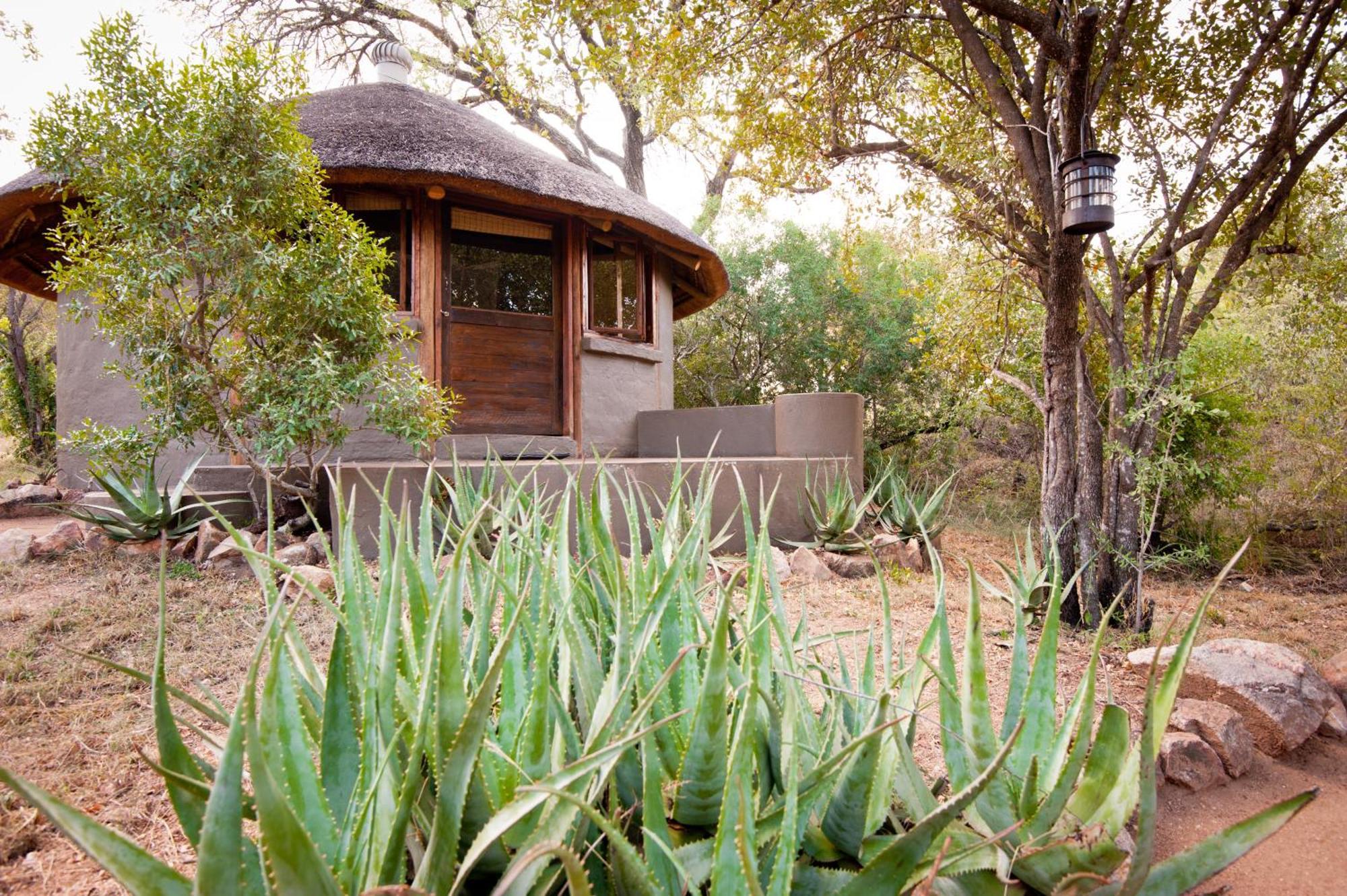 Umlani Bushcamp Villa Rezervaţia naturală Timbavati Exterior foto