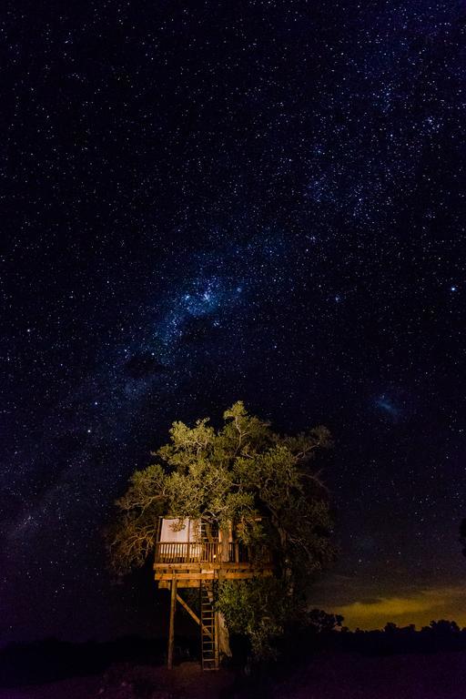 Umlani Bushcamp Villa Rezervaţia naturală Timbavati Exterior foto